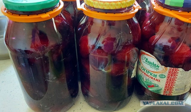 Кулинарная общалка