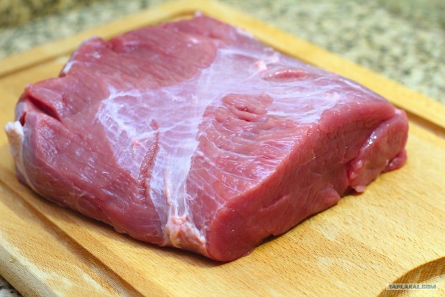 International одной книги., В память о Дженибеке.