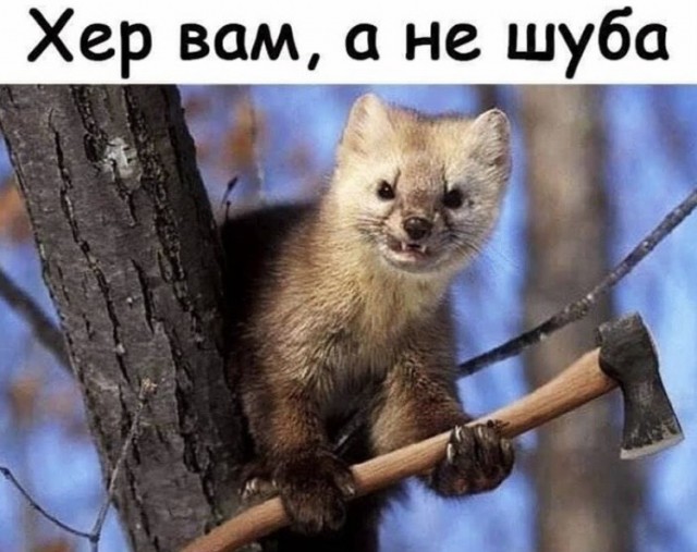 Утепляйтесь!