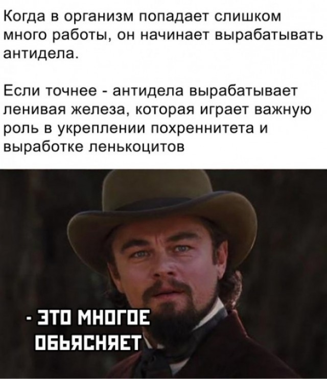 Весёлый полтишок 14.10
