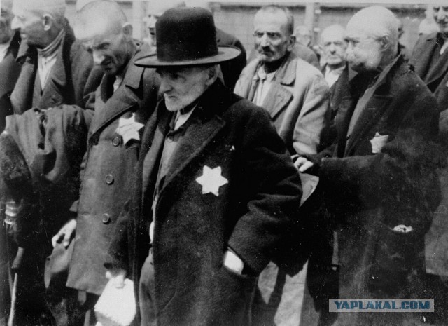 Покупатель петербургского супермаркета «Верный» ударил банкой сметаны кассира за просьбу надеть маску