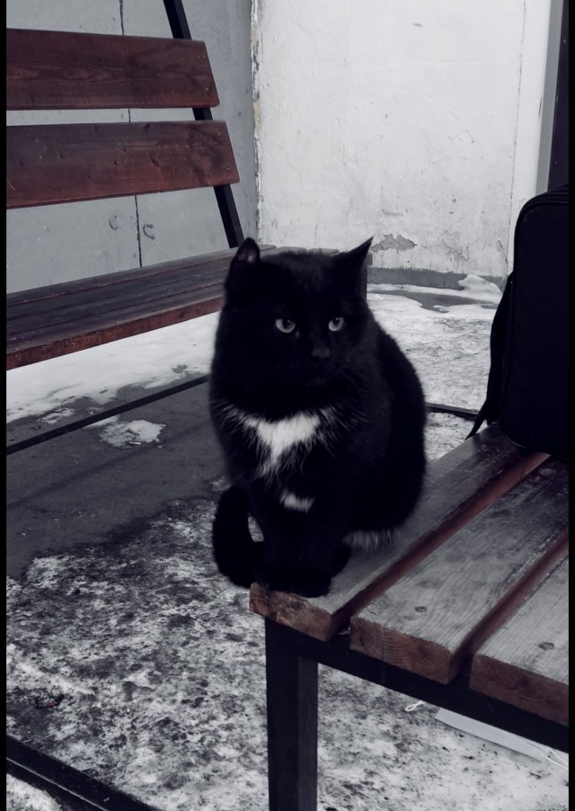 А у вас есть питомец "на стороне"?