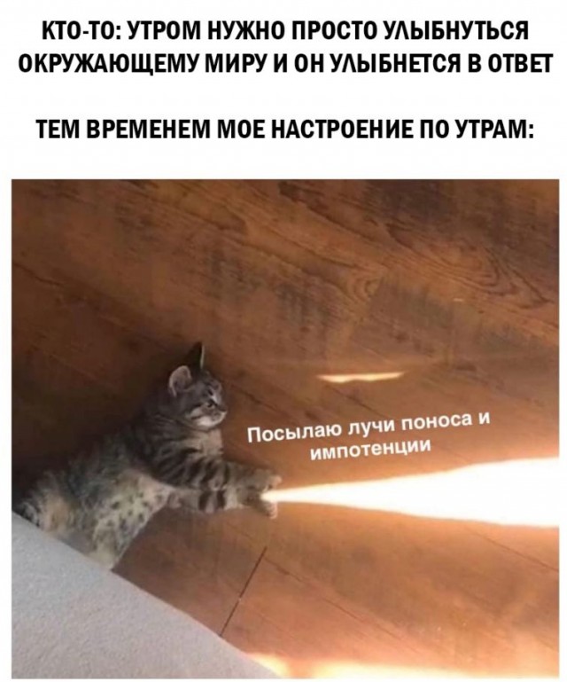 Картинки и мемы для настроения 31.03.2022