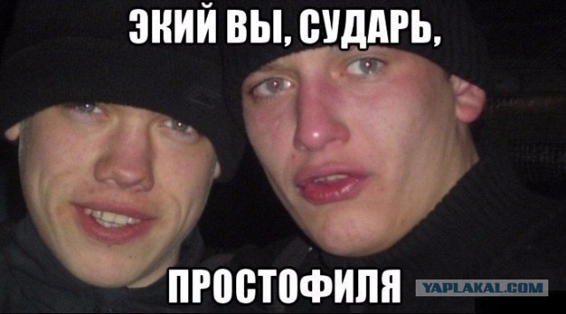 Слон и моська