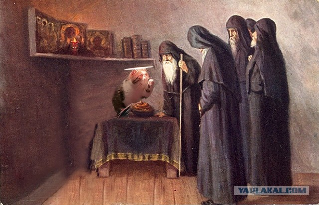 Котоламповая история в стиле хоррор