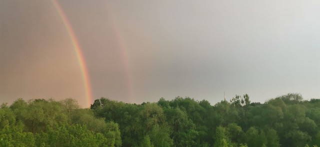 Что-то страшное творится в Москве