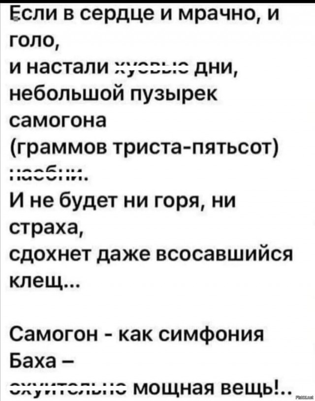Забавные комментарии из социальных сетей (18.07.22)