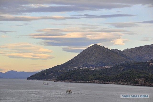 Любовь с первого взгляда