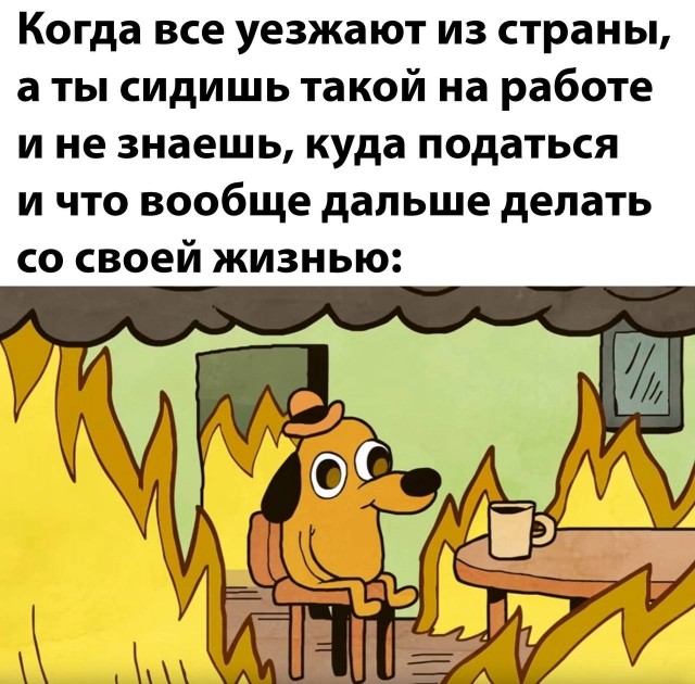 Немного мемчиков. Для взрослых. Часть 19
