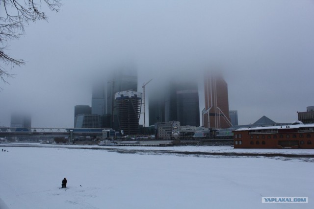 Москва. Утро. 1 января