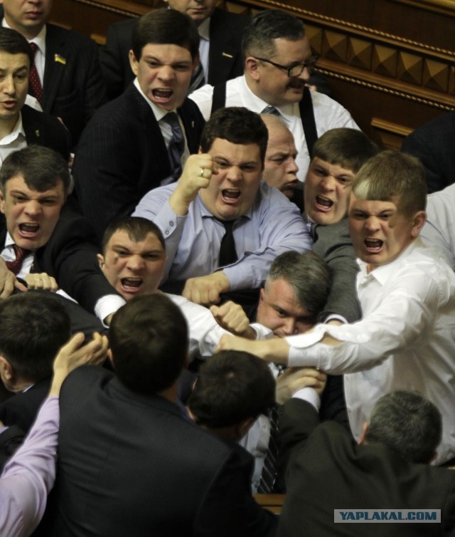 Фотожаба "Политдрака"