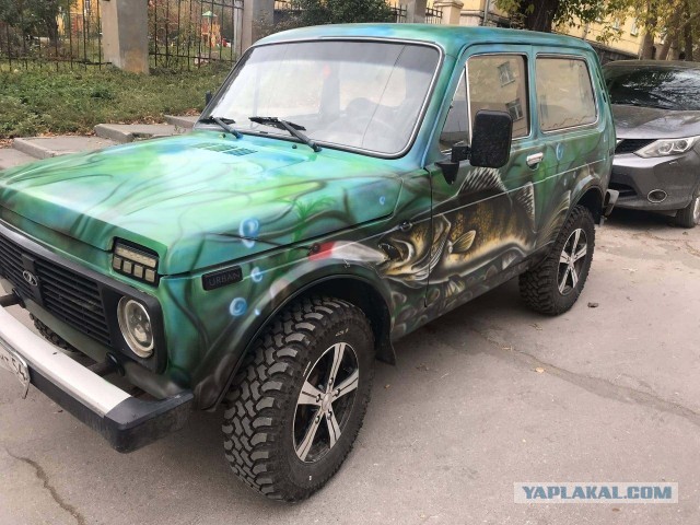 Нивасик