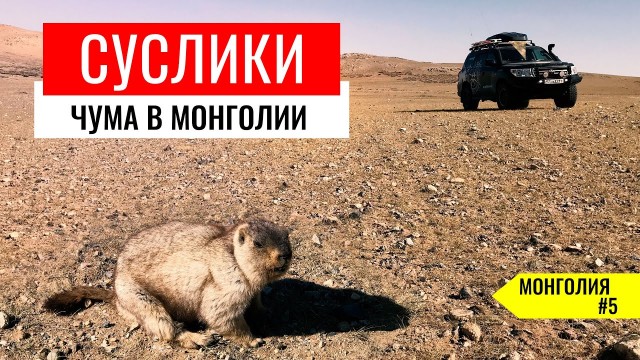В штате Западная Вирджиния, граничащим с Огайо, с неба спускается непонятная белая пыль