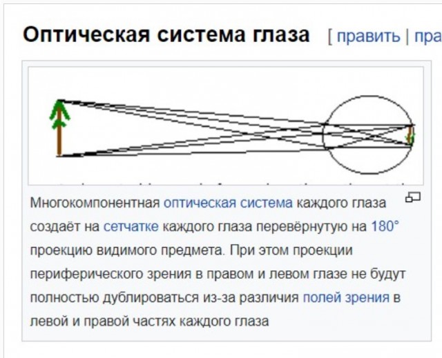 Шайтанамана для поколения тик-тока