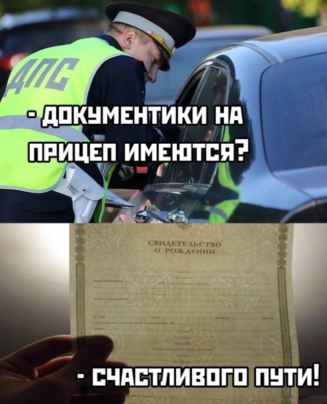 Весёлый полтишок 08.05.23