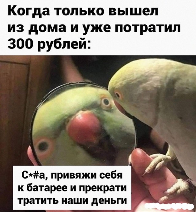 Скупка краденого из сети 15-06-2023