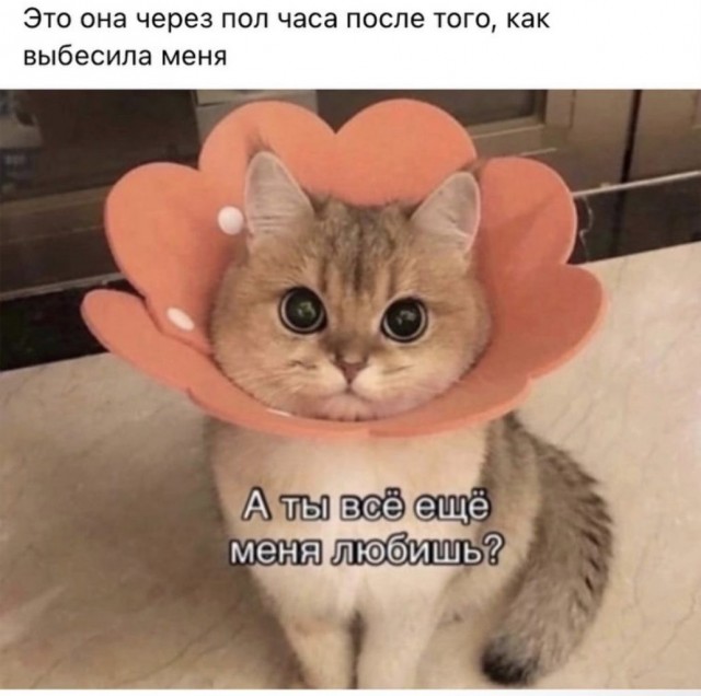 Картинки с надписями 09.07.23