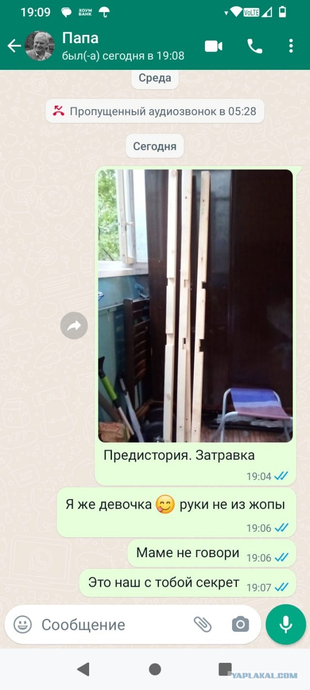 Папа, дочь, дровник, или как меня укусила фантазия