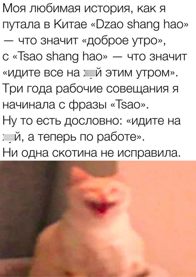 Так себе картинки 20.11.23