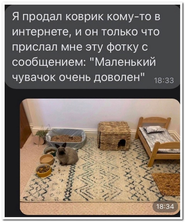 Забавные комментарии из социальных сетей (27.11.23)