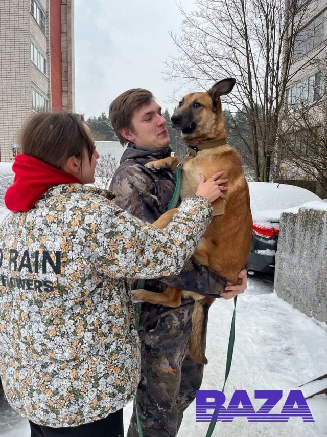 Настоящее новогоднее чудо из Твери: там нашли собаку, которая пропала два года назад