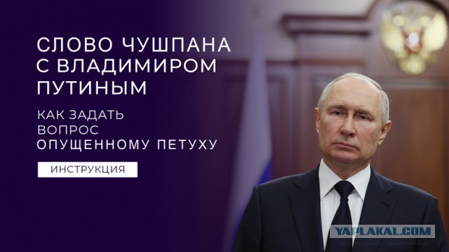 Прямая линия Владимира Путина 14 декабря 2023 года: онлайн-трансляция