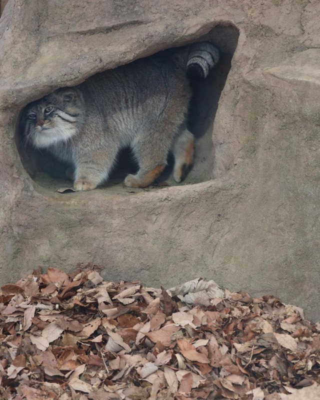 Подборка интересных и веселых картинок 14.02.24