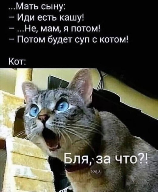 Отряд быстрого деградирования
