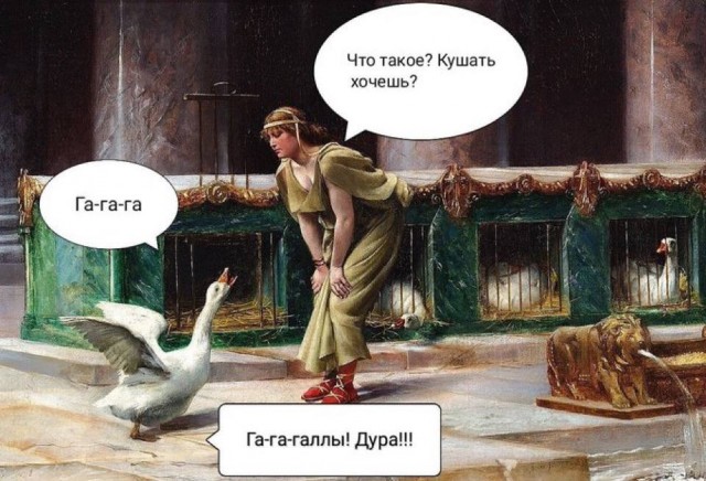 Нуштош 14.01.2025. Теперь ждем лета (s3e2)