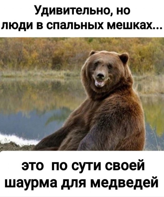 Так себе картинки 01.03.25