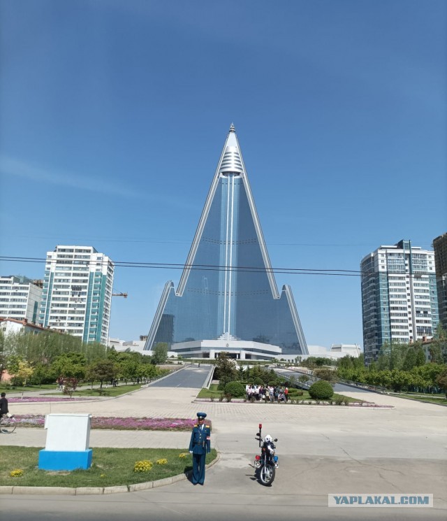 Северокорейская движуха