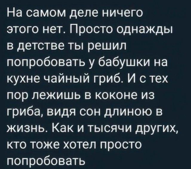 Так себе картинки 08.05.25