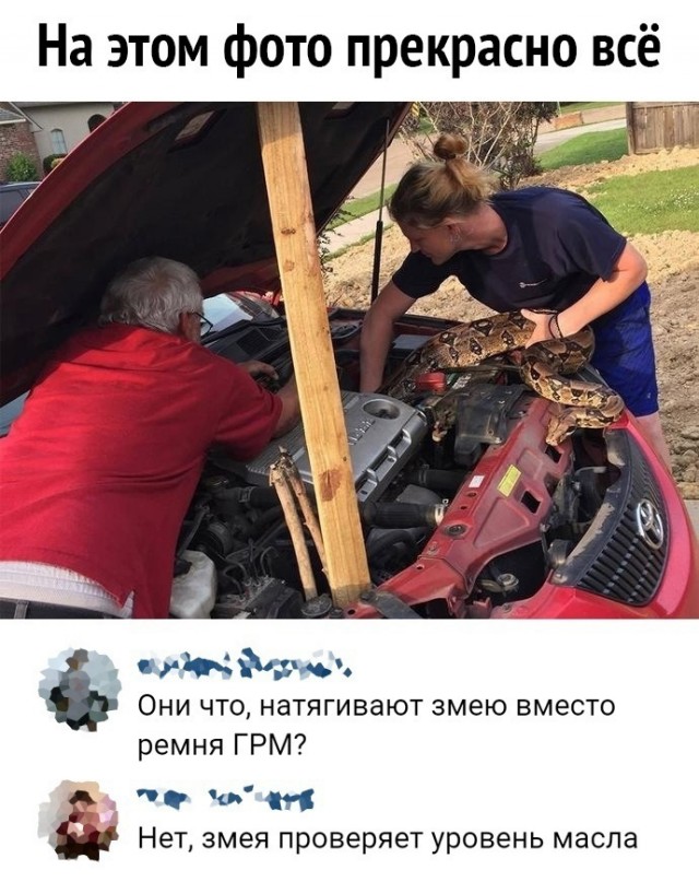 Так себе картинки 11.05.25