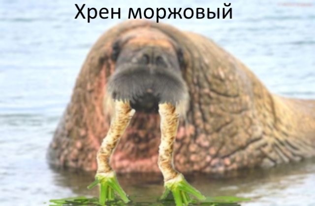 Прикольные и просто красивые картинки 13.06.2025
