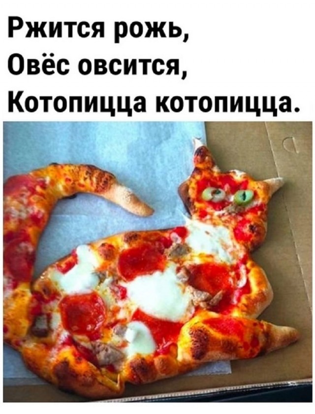 Так себе картинки 14.06.25