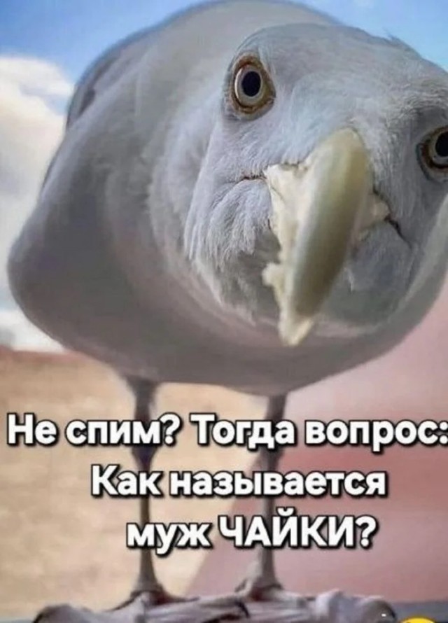 Юмор для тех, кто уже повзрослел и понял, что «готовка» — это разогреть вчерашний суп