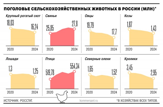 Говядина и баранина в России стремительно дорожают и становятся премиальным продуктом