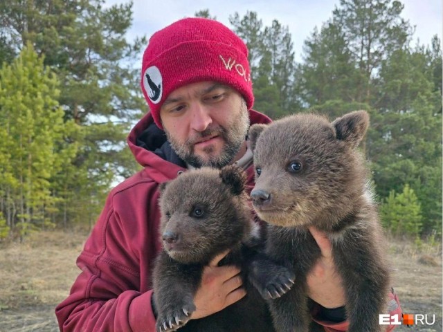 Момент нападения медведей на туриста в горах Сочи попал на видео