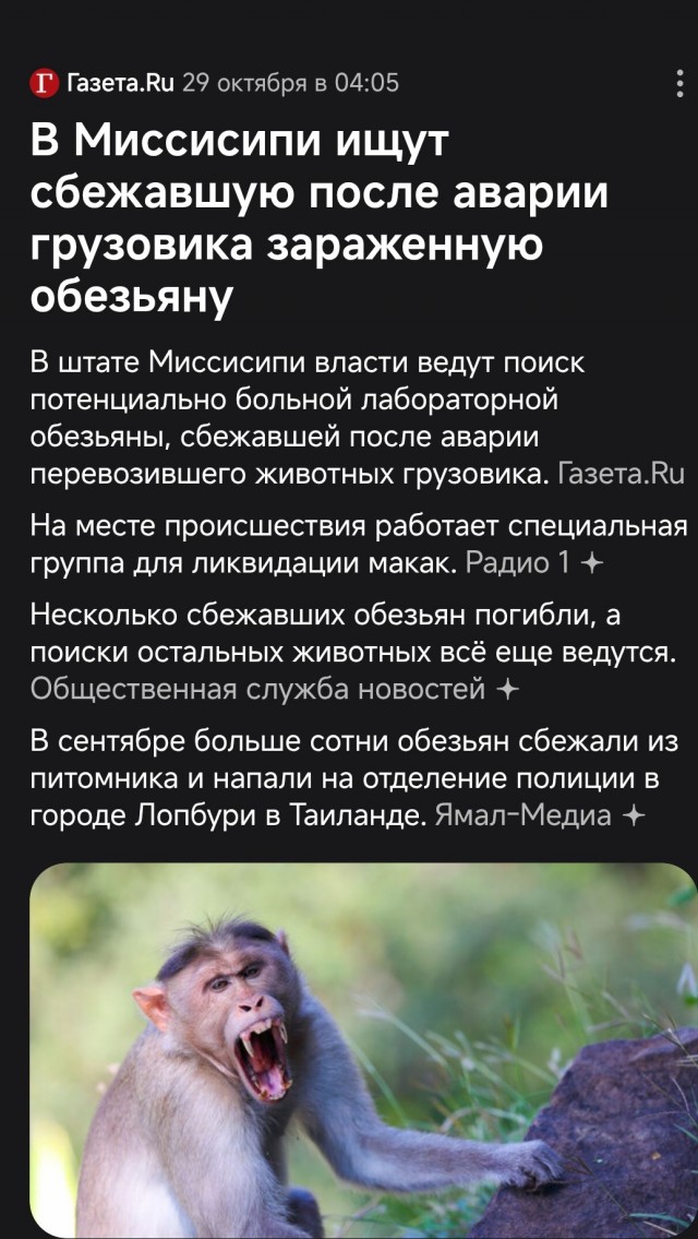 Заражённые гепатитом С, герпесом и COVID макаки сбежали в США