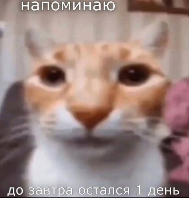 Среды картинки