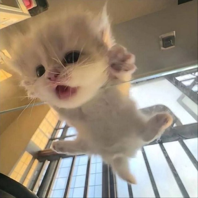 Картиночки на 15.01.2026