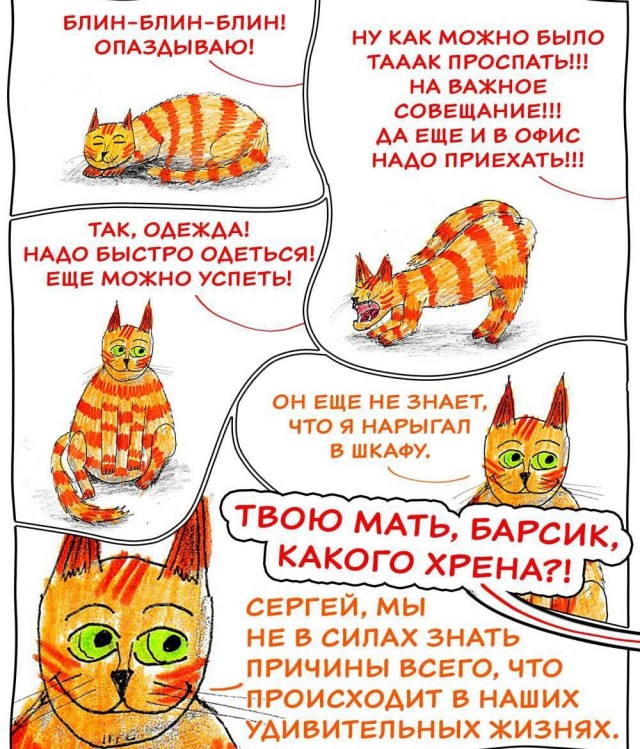 Веселые картинки в маленькую пятницу (04.03)