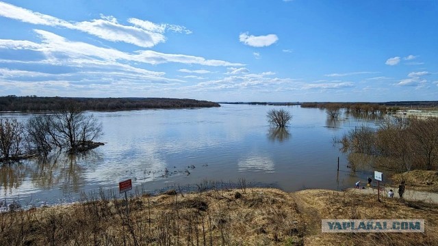 Вода в Оке пошла вспять