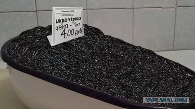 Цены на икру на Камчатке