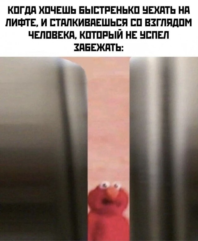 Потная гамсахурдия №7