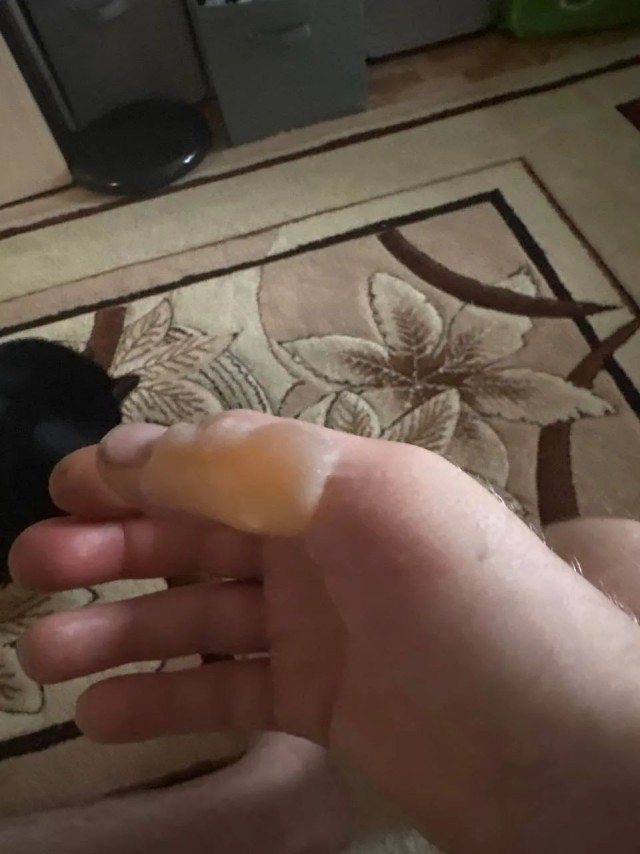 Всё легко и просто