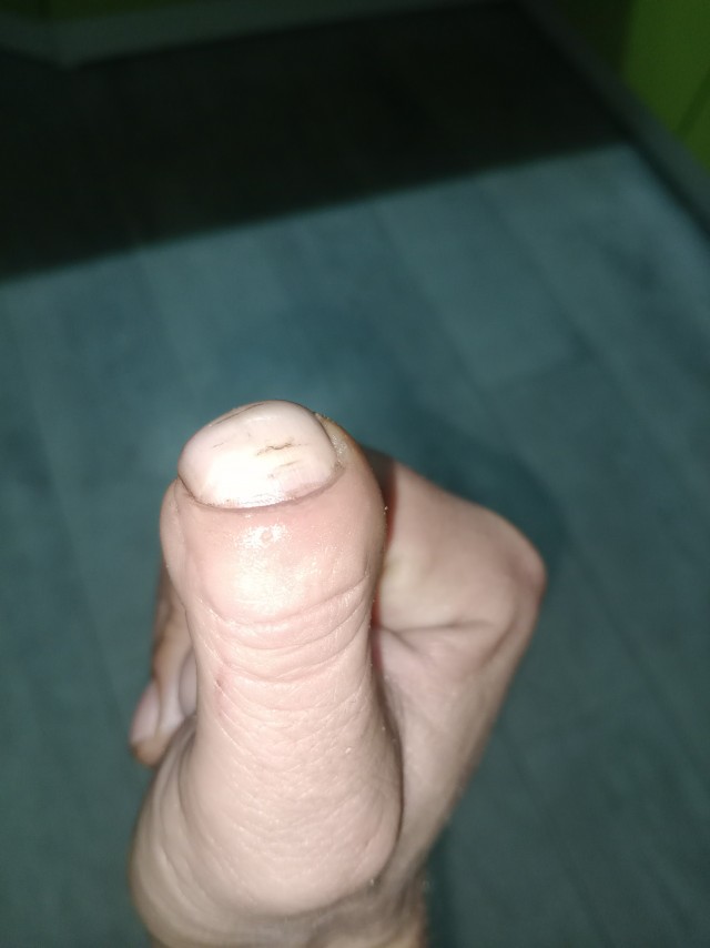 Нашёл на даче цветок⁠⁠