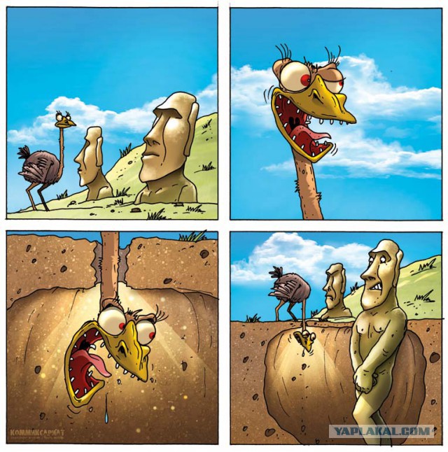Про страуса..