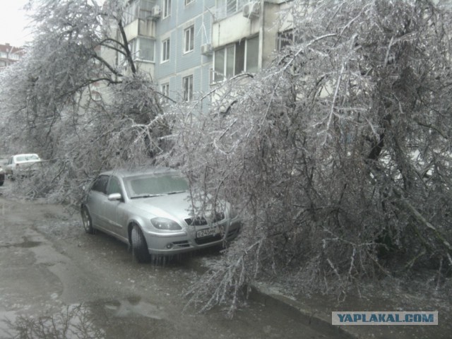 Краснодар в глазури