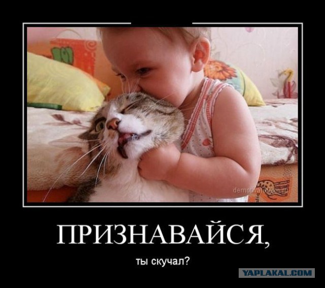 Да что вы знаете о безысходности.